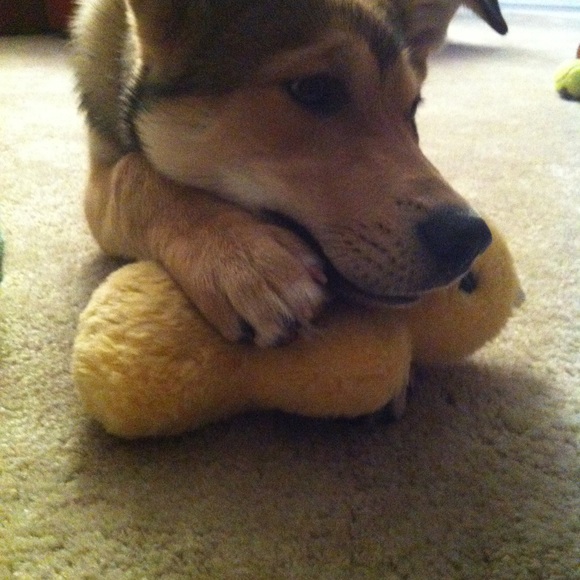 Meet the Posher Other - Meet your Posher, Carolyn